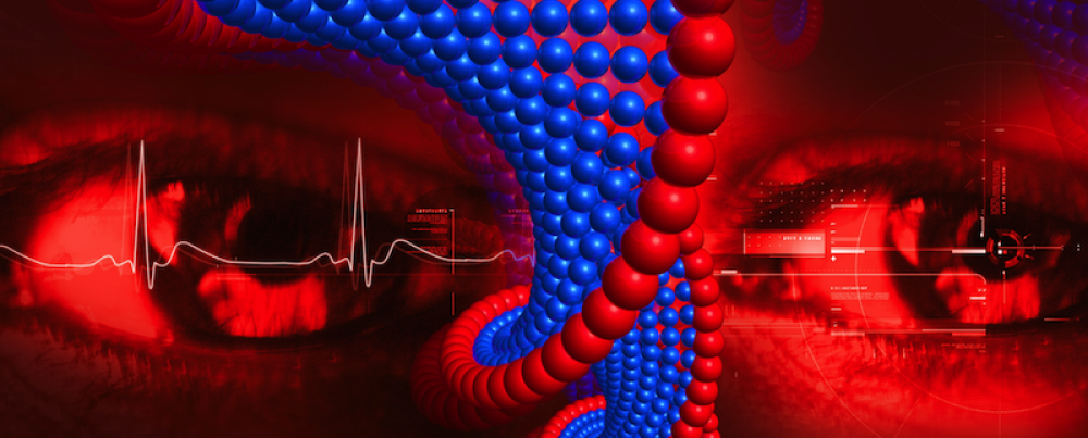 The Red Queen Hypothesis